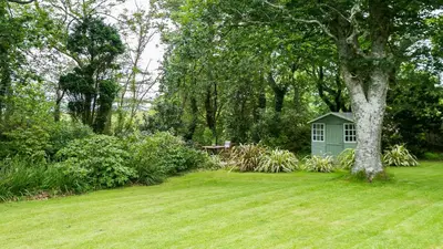 a green shed in a yard with a tree at Hafod Cae Maen in Penrhyndeudreath