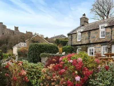 a garden with flowers in front of a house at Bryn Hyfryd in Harlech