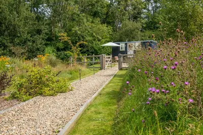 a garden with flowers and a building in the background at Bedwen in Llanarth