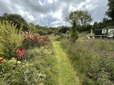a field of flowers with a path through it at Bedwen in Llanarth
