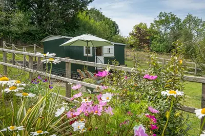 a garden with a green building with an umbrella at Onnen in Llanarth