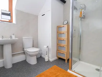 a bathroom with a toilet and a sink and a shower at Aelybryn in Oswestry