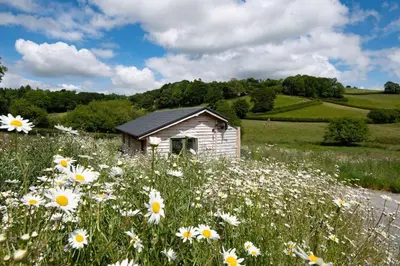 a small shed in a field of flowers at Birch Banc Retreats - Glyn-Haul, New Enc Decking in Llanidloes