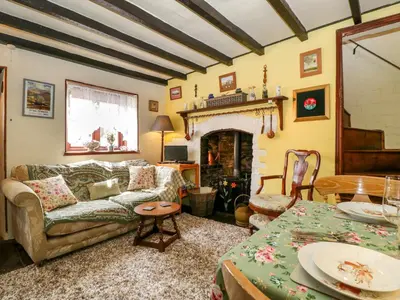 a living room with a couch and a fireplace at Violet Cottage in Llangammarch Wells