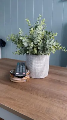 a plant in a white pot next to a remote control at Bay View shepherds hut with hot tub in Llanfair