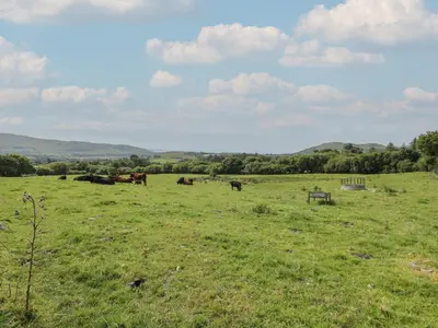 a group of horses grazing in a field at Dysynni Pod in Tywyn