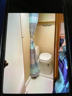 a small bathroom with a toilet and a shower curtain at Pantyronen tourer holidays in Llanbadarn-fynydd