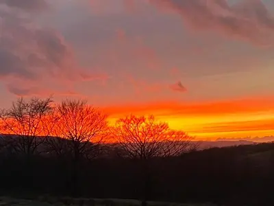 a sunset with trees in the foreground at Pantyronen tourer holidays in Llanbadarn-fynydd