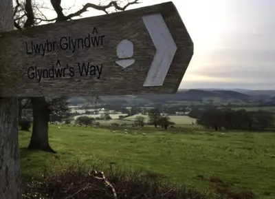 a sign on a tree in a field at Acorn Warren in Welshpool
