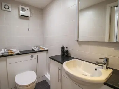 a bathroom with a sink and a toilet and a mirror at Moorhen Cottage in Ludlow