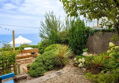 a garden with a bench and some plants at Trem y Don New Quay in New Quay