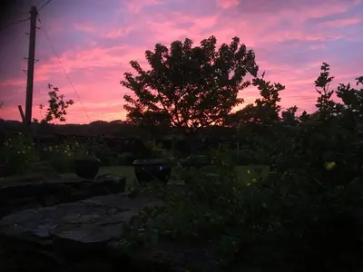 a sunset in a garden with a tree in the foreground at Garth Engan B&B with private lounge in Llanbedr