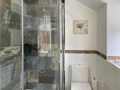 a bathroom with a shower and a toilet at Lavender Cottage in Shrewsbury