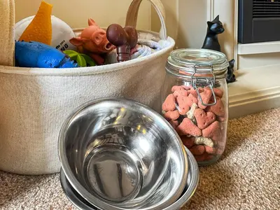 a bowl of food next to a bucket of dog food at Lavender Cottage in Shrewsbury
