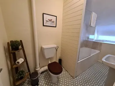 a bathroom with a toilet and a sink at Ty Morgan's Apartments in Rhayader