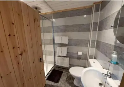 a bathroom with a white toilet and a sink at Owl Cabin in Llanbrynmair