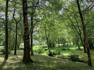 a park with trees and grass and flowers at Studio in medieval Welsh farmhouse in Aber Cowarch