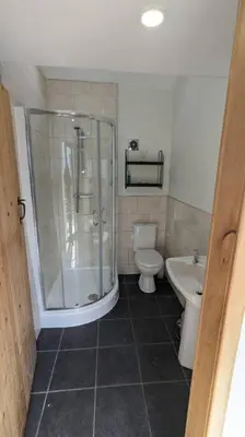 a bathroom with a shower and a toilet and a sink at Rhyd Y Geifr, Cosy Barn Conversion in Maerdy in Corwen