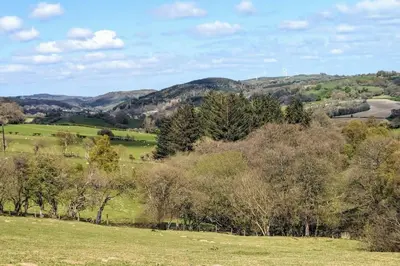 a green field with trees and mountains in the background at Rhyd Y Geifr, Cosy Barn Conversion in Maerdy in Corwen