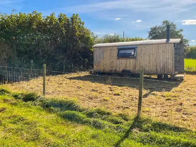 a small wooden shed sitting in a field at Myfanwy in Ciliau-Aeron
