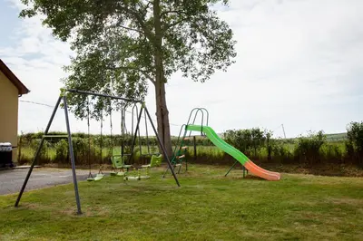 a playground with a slide and a tree at Aberystwyth Dinas Cottage in Llanilar