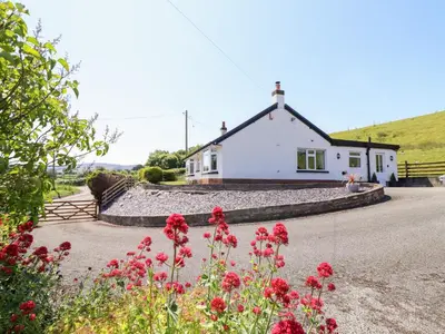 a white house with red flowers in front of it at Bryn Bras in Corwen