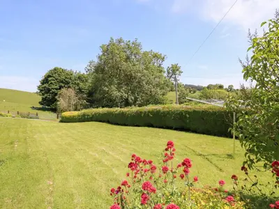 a garden with red flowers and a hedge at Bryn Bras in Corwen