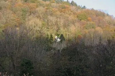 a hill with trees and a house on it at Mellow Mountain Eco Retreat Wales Hot-Tub Sauna in Glyn-Ceiriog