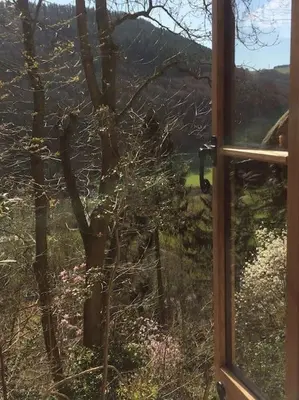 an open window with a view of a tree at Mellow Mountain Eco Retreat Wales Hot-Tub Sauna in Glyn-Ceiriog