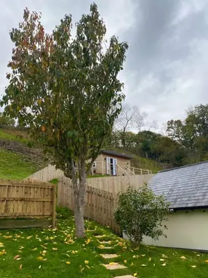 a tree in a yard next to a fence at Castle View chalet in Llangollen