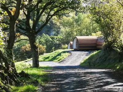 a gravel road with a wooden cabin on the side at Glampio Tryso Garth-Ukc5827 in Llangwm