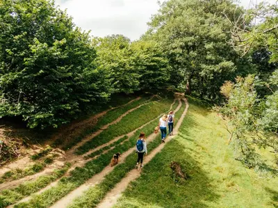 a group of people and a dog walking down a trail at 4 Bed in Capel Bangor oc-m30145 in Capel Bangor
