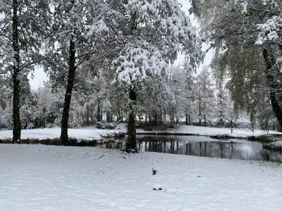 a snow covered park with a pond and trees at The Hornbill at Home Farm Shropshire in Shrewsbury