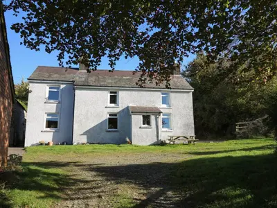 an old house on a field with a tree at Pengraig in Tregaron