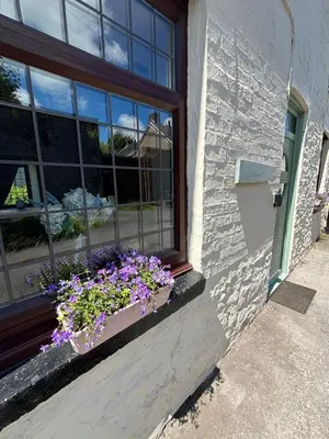 a window box with purple flowers on a window sill at Glanyrafon Cottage in Sennybridge