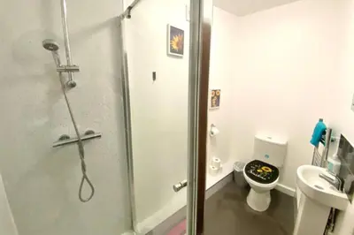a bathroom with a shower and a toilet at Cosy Nook - Town centre flat with free nearby parking, in Shrewsbury
