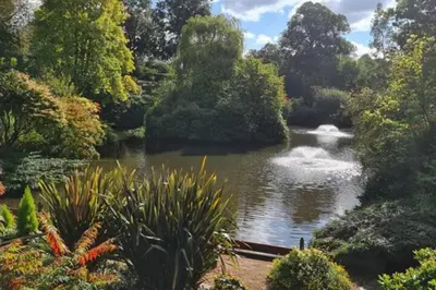 a pond in the middle of a garden with trees at Cosy Nook - Town centre flat with free nearby parking, in Shrewsbury