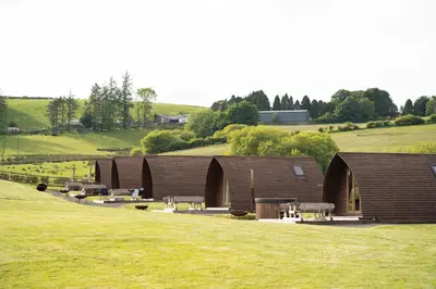 a row of wooden buildings in a field at Hafren by Wigwam Holidays in Llanbrynmair