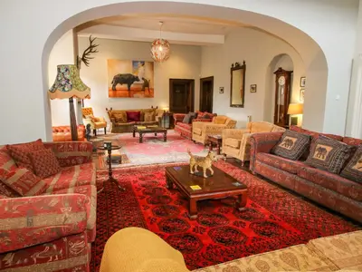 a living room with couches and a cat sitting on a table at Caynham Court in Ludlow