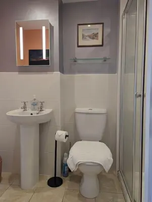 a bathroom with a toilet and a sink and a shower at Cartref Guesthouse - Room 2 Ensuite in Aberdyfi