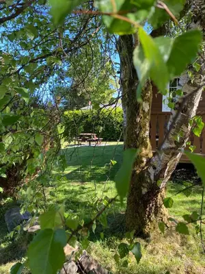 a tree in a yard with a picnic table in the background at Fernleys Place in Trawsfynydd