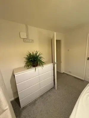 a bedroom with a plant on top of a dresser at Meole Brace room in Meole Brace