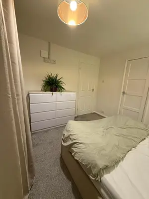 a bedroom with a bed and a potted plant on a dresser at Meole Brace room in Meole Brace