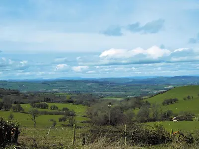 a view of a green field with mountains in the distance at Stevannah - E5287 in Snead