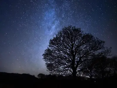 a starry night with a tree and the milky way at Ash Lodge - Hw7442 in Nantmel