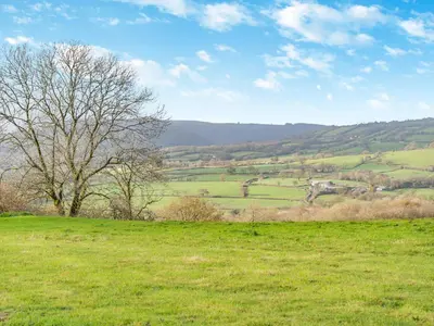 a field of green grass with a tree in the foreground at West Barn in Llansadwrn