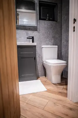 a bathroom with a toilet and a sink at Dinas Lodge with private hot tub in Llangollen