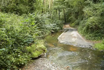 a small stream in the middle of a forest at Bull Hollow Cottage in Shrewsbury