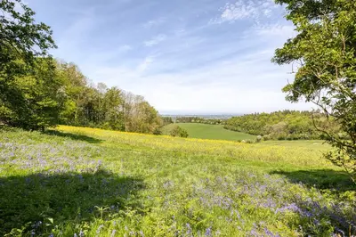 a field of flowers and trees on a hill at 1 Little Broomcroft in Shrewsbury