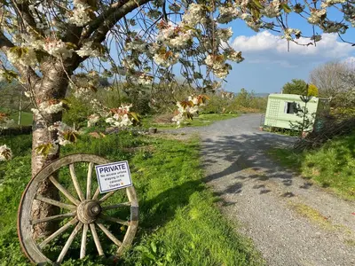 a wooden wheel sitting next to a road with a tree at Fabulous Hot Tub with Views! in Llanfair Caereinion